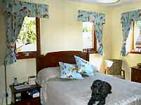 Patterned curtains with tie backs and matching gathered valance.
